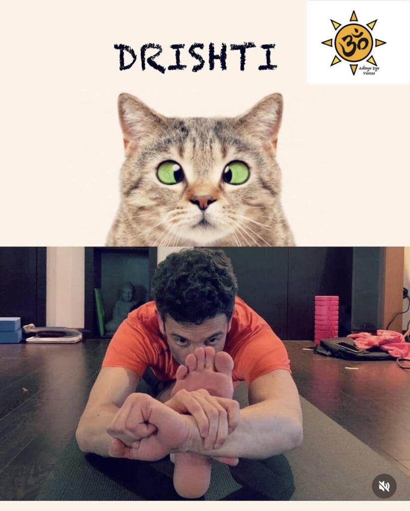 Gatto ironico che medita: esempio visivo per introdurre il concetto di Drishti yoga.