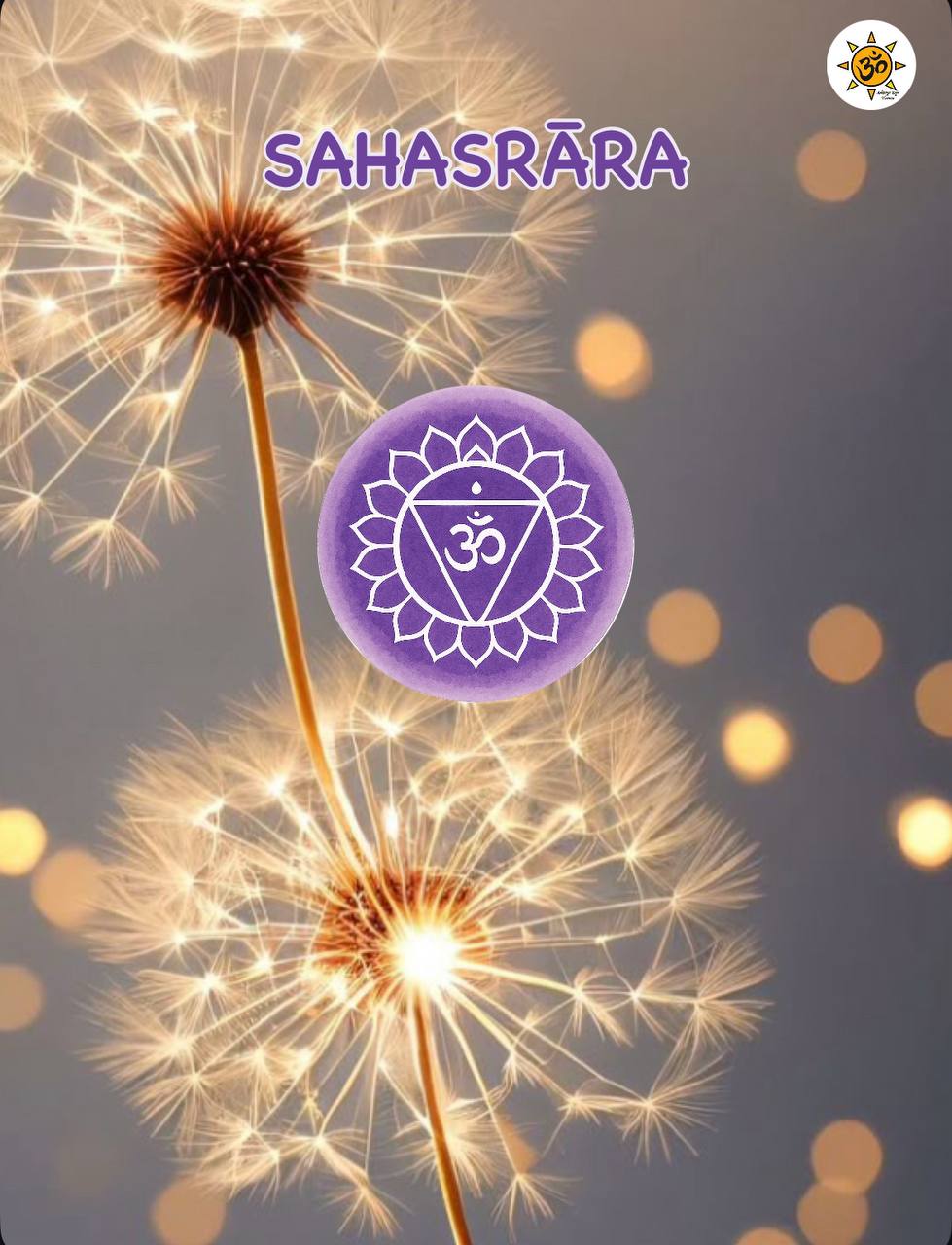 Simbolo viola del Sahasrara, settimo chakra della corona e della connessione spirituale