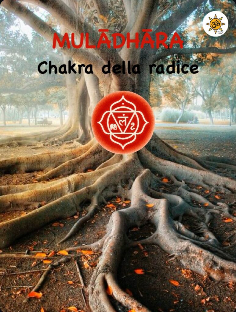 Simbolo del MŪLĀDHĀRA chakra con loto a 4 petali e colore rosso