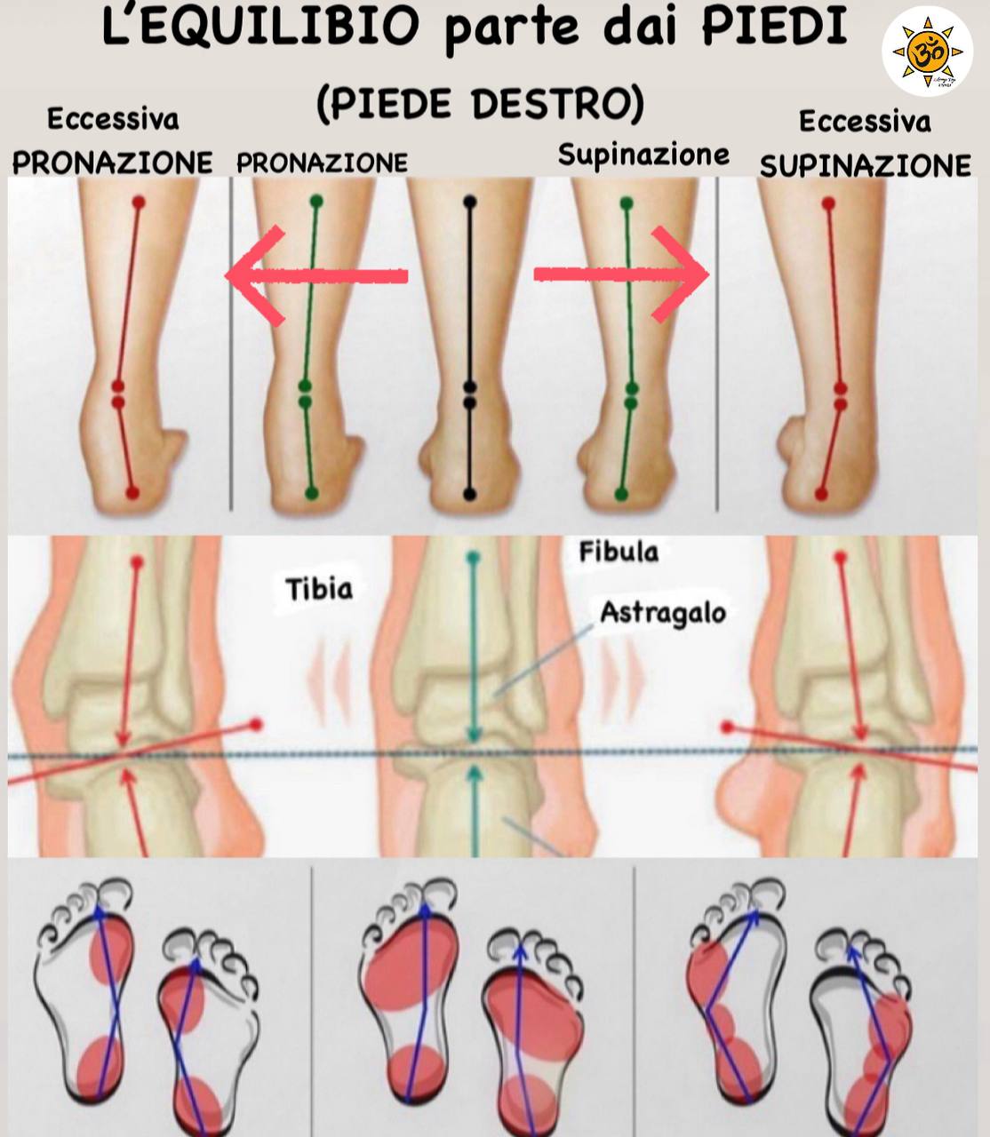 pronazione e supinazione del piede
